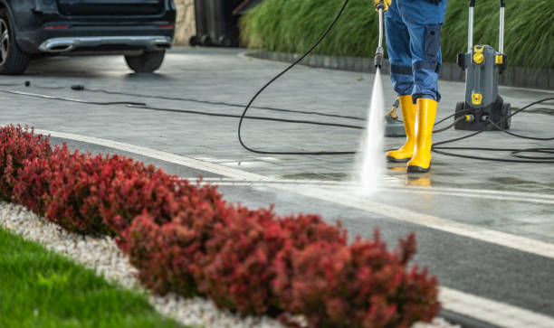 Best Soft Washing for Delicate Surfaces in Las Vegas, NM